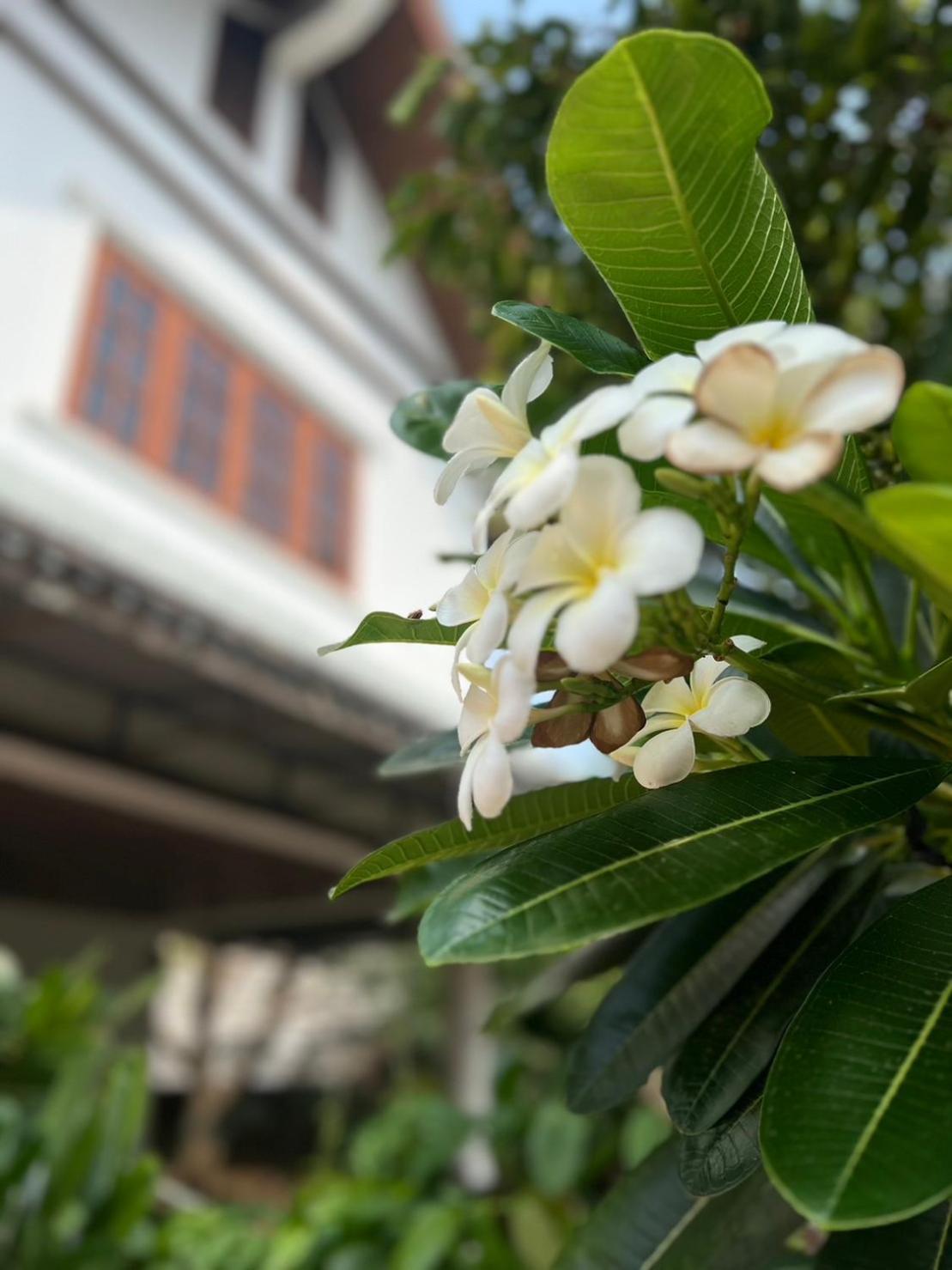 The Royal Shilton Resort Chiang Mai Exterior foto